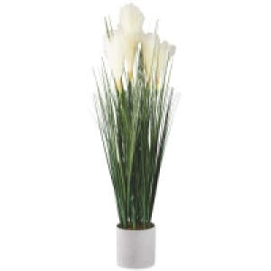 Aldi  White Reed Tail Plant In Grey Pot