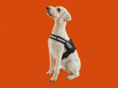 Meradiso Seat Pads 5.99 €