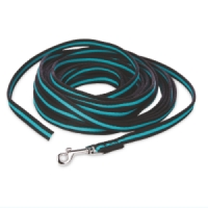 Medium Dog Recall Lead