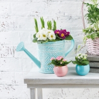 Aldi  Mothers Day Watering Can Planter