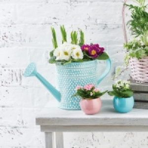 Mothers Day Watering Can Planter