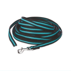 Small Dog Recall Lead