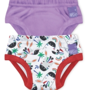 Zebra Potty Training Pants 2 Pack