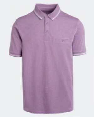 Regular Fit Plain Jersey Polo