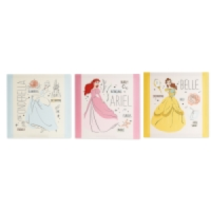 Aldi  Childrens Princess Canvas Print