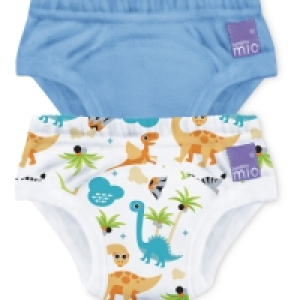 Aldi  Dinosaur Potty Training Pants 2 Pack