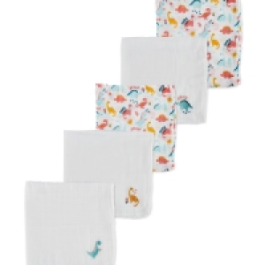 Pink Dinosaur Muslin Cloths 5 Pack