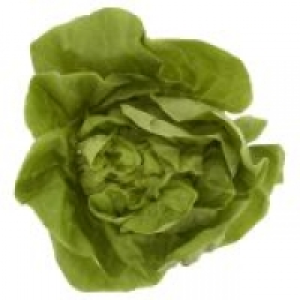 EuroSpar Fresh Choice Butterhead Lettuce