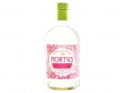 Lidl  Hortus Rhubarb & Ginger Gin 20%