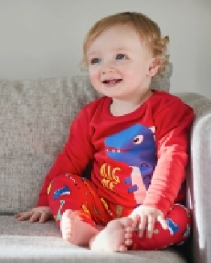 Crew Neck Sweatshirt (0 months-4 years)