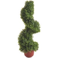 Aldi  Gardenline Boxwood Topiary Spiral