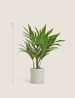Marks and Spencer  Artificial Medium Palm in Concrete Pot