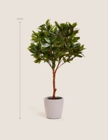 Marks and Spencer  Artificial Floor Standing Bay Tree