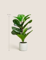 Marks and Spencer  Artificial Small Fig Leaf Tree in Pot