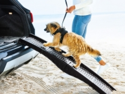 Zoofari Dog Ramp