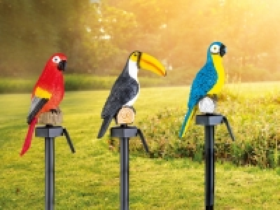 Lidl  Meradiso Decorative Solar Light