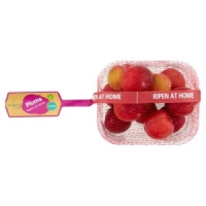 Centra  CENTRA PLUM PUNNET 500G