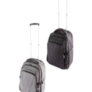 Aldi  Avenue Trolley Backpack