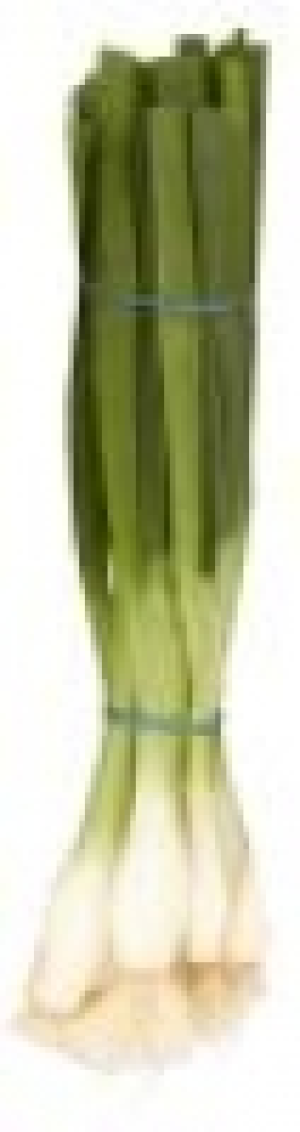 Fresh Choice Scallions Bunch