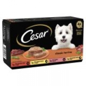 Classics Dog Trays Mixed Selection 3.00 €
