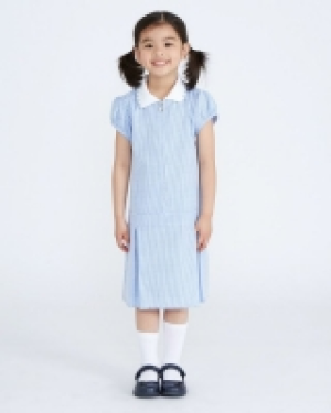 Gingham Dress