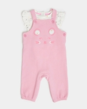 Dunnes Stores  Two-Piece Novelty Dungaree Set (Newborn - 12 months)