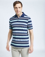 Dunnes Stores  Paul Costelloe Living Navy Grindle Stripe Polo