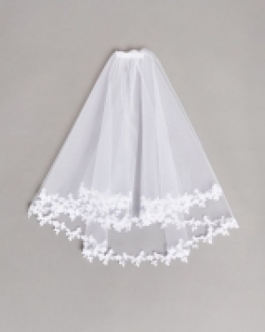 Paul Costelloe Living Lace Veil