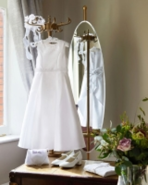 Dunnes Stores  Paul Costelloe Living Olivia Dress