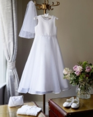 Dunnes Stores  Paul Costelloe Living Ruby Dress