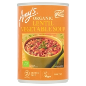 Amys Kitchen Organic Lentil Vegetable Soup