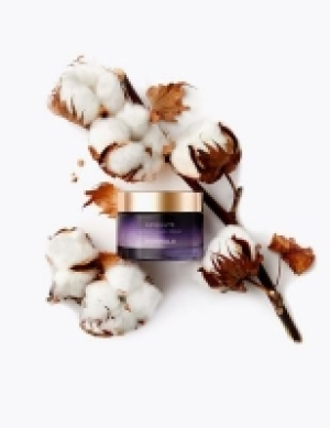 Formula Absolute Ultimate Sleep Cream 50ml