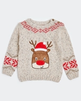 Dunnes Stores  Christmas Knit Jumper (0 months - 4 years)
