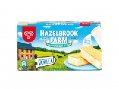 HB Vanilla Ice Cream Pint