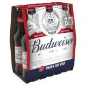 Budweiser Bottle Beer