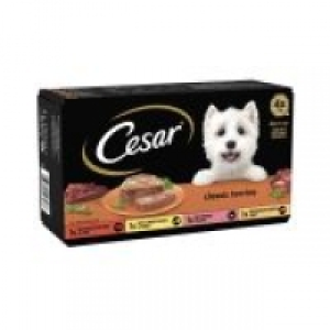 Cesar Classics Dog Trays Mixed Selection