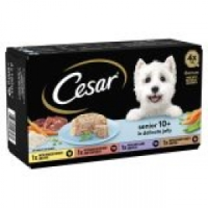 Cesar Senior