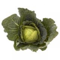 EuroSpar Fresh Choice Round Head Cabbage