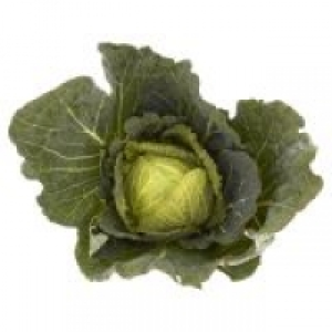 Fresh Choice Round Head Cabbage