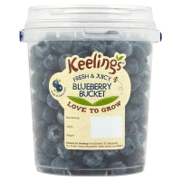 SuperValu  Keelings Blueberry Bucket
