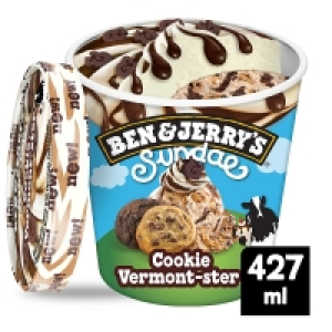 Ben & Jerrys Sundae Cookie Vermonster 427ml