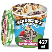 SuperValu  Ben & Jerrys Sundae Non-dairy Berry Revolutionary 427ml