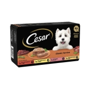Cesar Classic Terraine Variety Dog Food 4 Pack