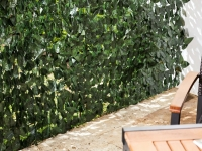 Privacy Screen 34.99 €