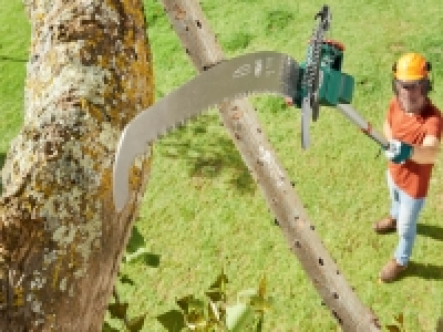 Extendable Tree Lopper with Saw 17.99 €