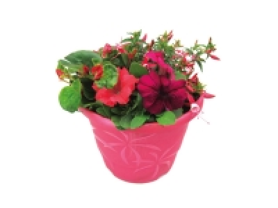 Summer Planter 8.99 €