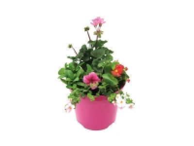 Large Summer Planter 11.99 €