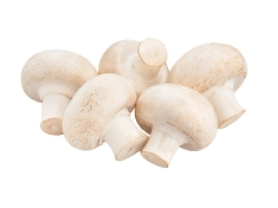Mushrooms