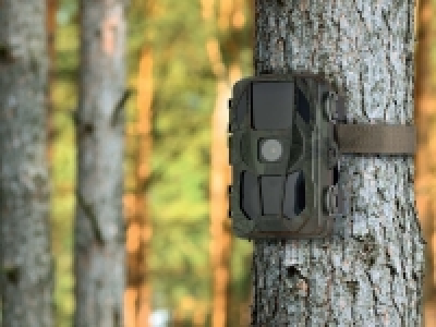 Wildlife Surveillance Camera 119.99 €