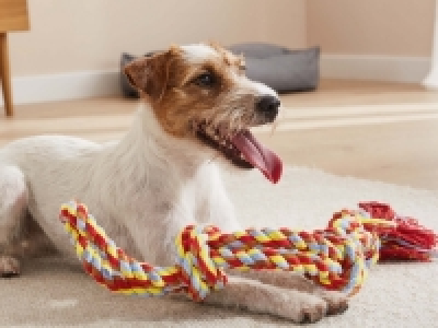 Dog Rope Toy 2.49 €